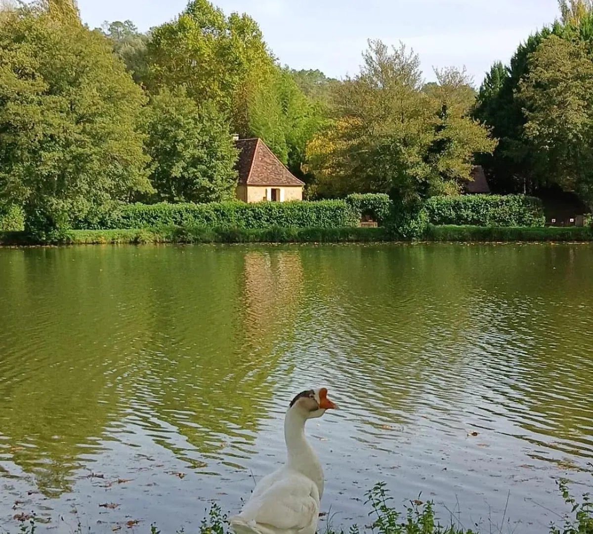 Сasa de vacaciones Gite Du Moulin De Maitre Pierre Payrignac