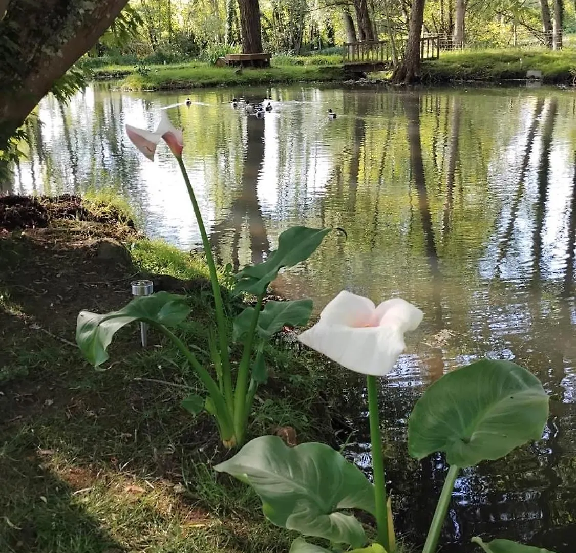 Сasa de vacaciones Gite Du Moulin De Maitre Pierre Payrignac Francia